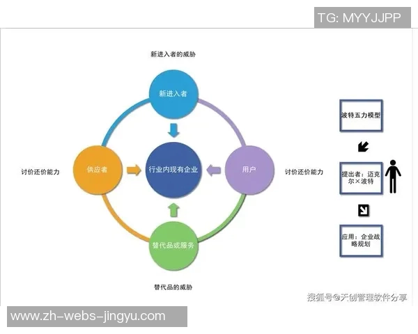 宝力高对比分析探讨其市场竞争力与发展潜力的全面评估